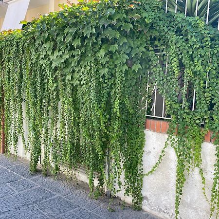 Ammore Ammare Apartment Ischia Exteriér fotografie